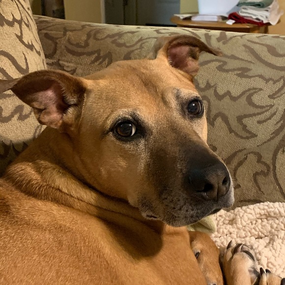 Meet your Posher, Brenda - Picture 1 of 1